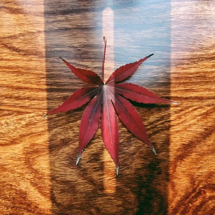 漢唐家具背后的材質(zhì)美學插圖15