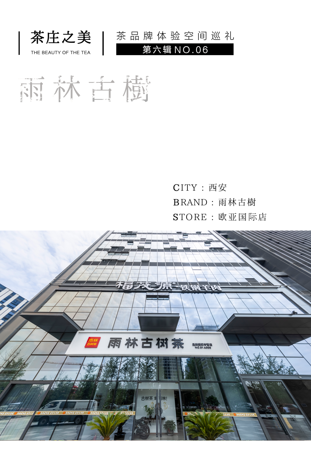 茶品牌體驗(yàn)空間巡禮第六輯 | 去雨林古樹，赴江南茶宴插圖1