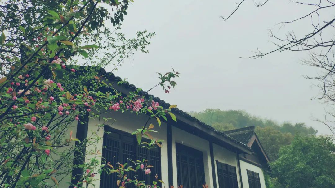 杭州茶書院?jiǎn)⒛?| 當(dāng)代「韓熙載夜宴」，復(fù)現(xiàn)中國(guó)文人雅趣生活插圖16